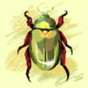 Meet your Posher, Cedric